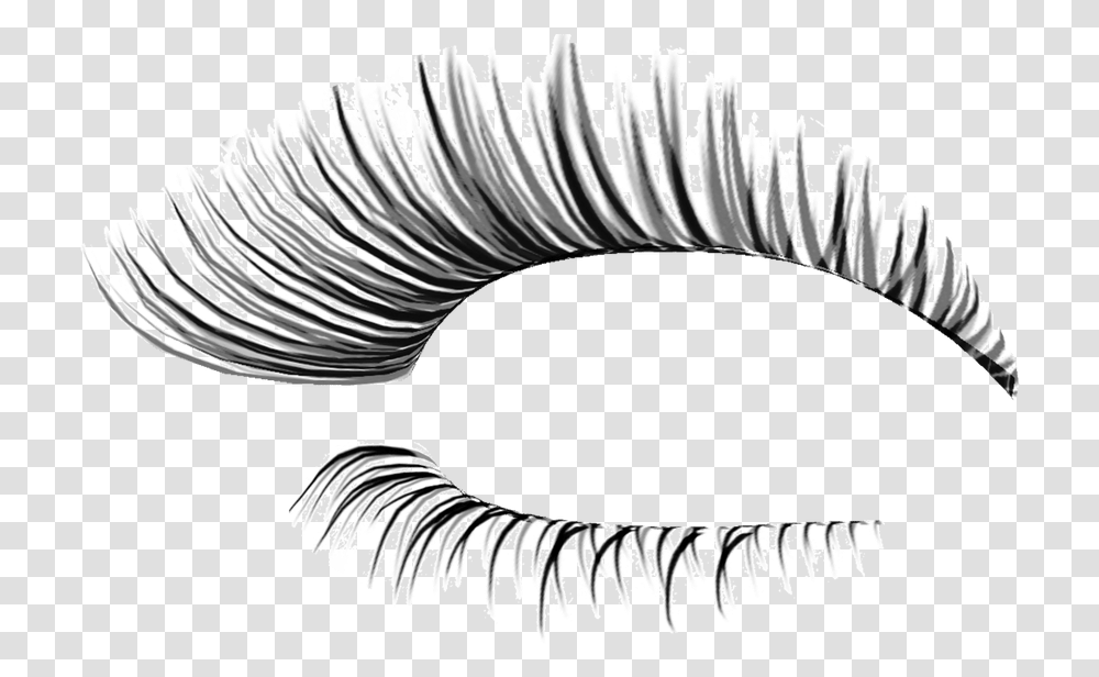Eyelashes Clipart Natural Eyelash, Accessories, Accessory, Screw, Machine Transparent Png
