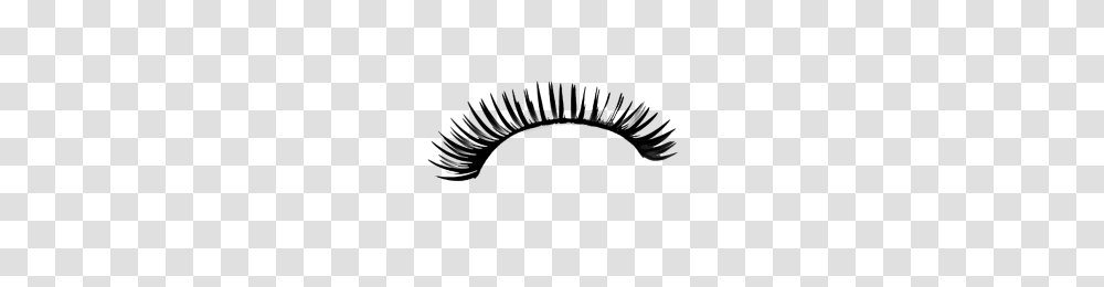 Eyelashes Image, Nature, Photography, Outdoors, Lighting Transparent Png