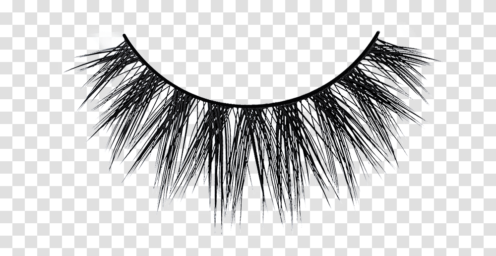 Eyelashes, Plant, Chandelier, Lamp, Drawing Transparent Png