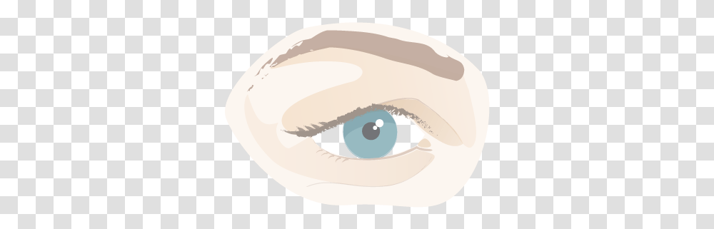 Eyelid Circle, Contact Lens, Tape, Clam, Seashell Transparent Png