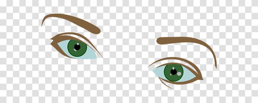 Eyes Person, Animal, Invertebrate, Insect Transparent Png