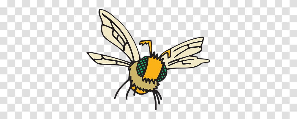 Eyes Animals, Wasp, Bee, Insect Transparent Png