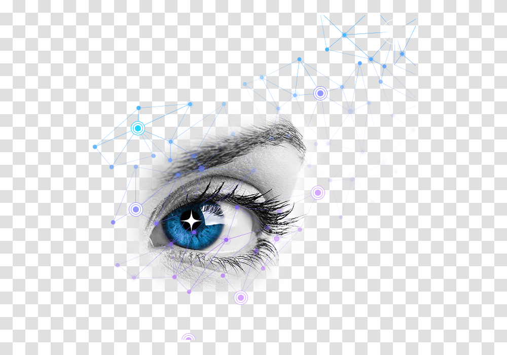 Eyes, Person, Human, Drawing Transparent Png