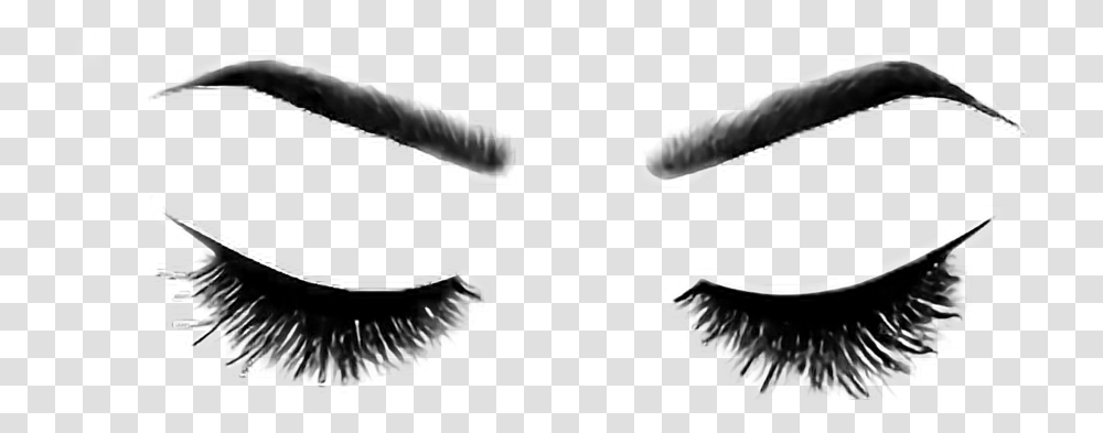 Eyes Clipart Eyelashes, Animal, Bird, Person, Stencil Transparent Png