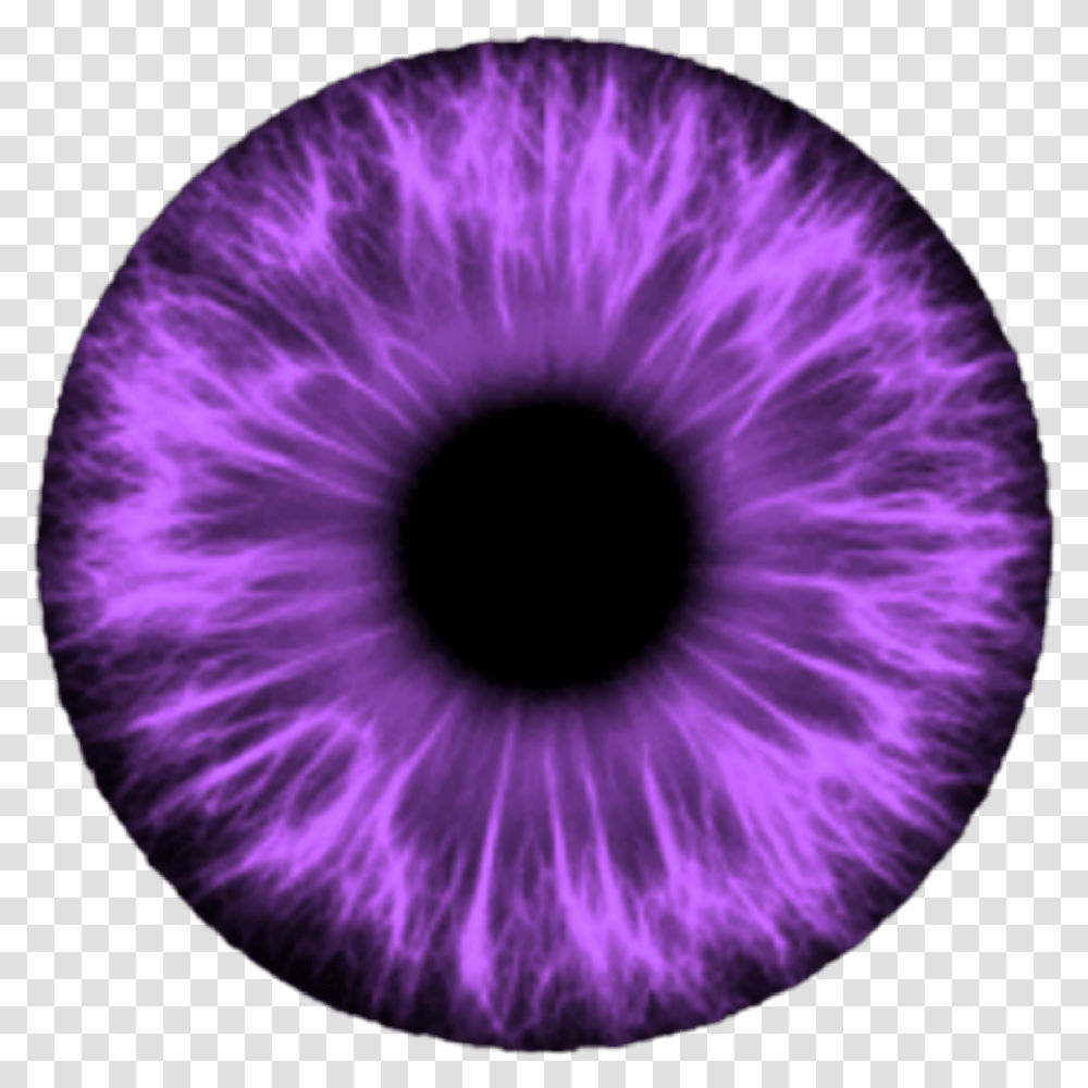 Eyes For Editing Download Cat Eye, Light, Sphere, Purple, Plant Transparent Png