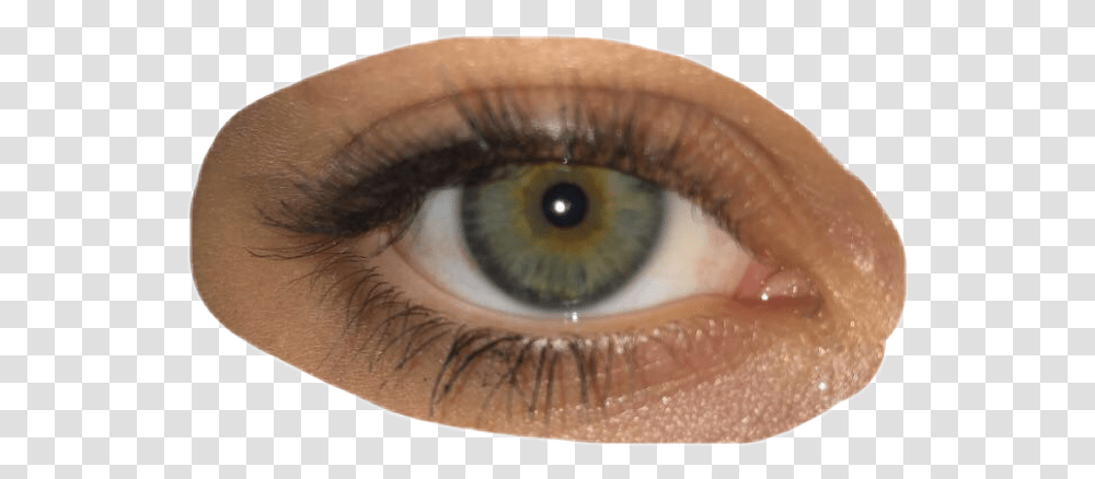 Eyes Greeneye Eye Aesthetic Vintage Cute Remixit Green Different Tuyoes Of Green Eyes, Contact Lens, Skin, Photography, Person Transparent Png
