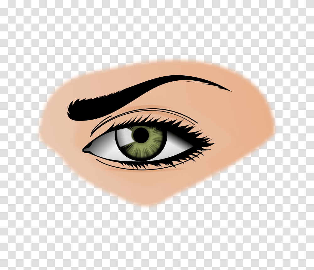 Eyes Organ Clipart, Contact Lens Transparent Png