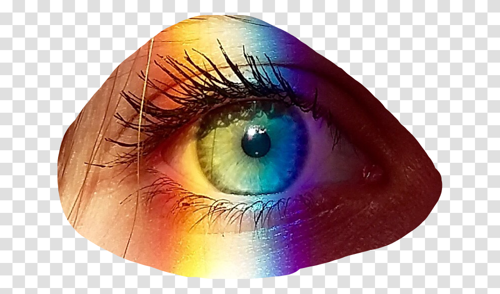 Eyes Rainboweyes Eye Shadow, Contact Lens Transparent Png