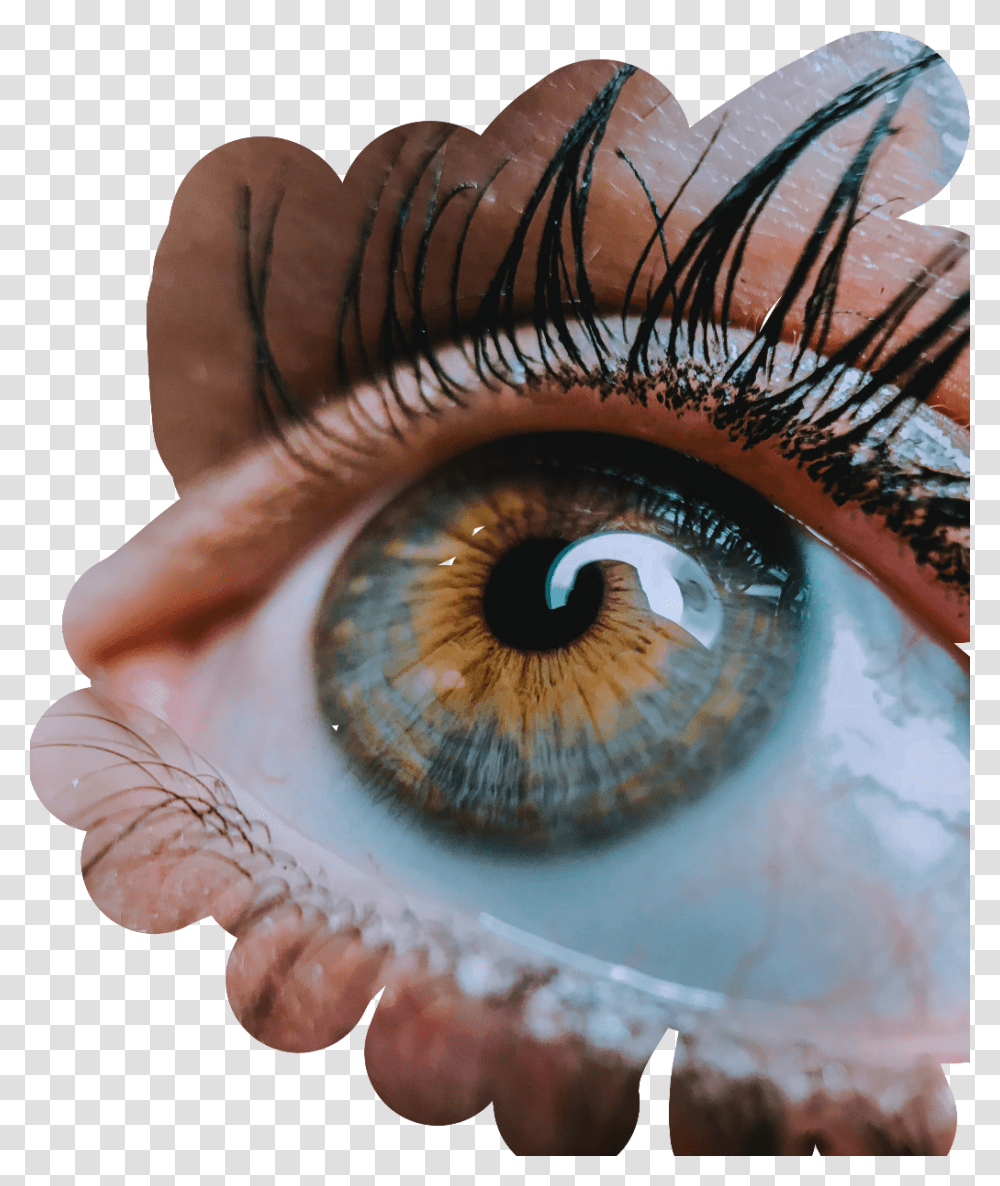 Eyes Remix Editforme Photography Eye Focus, Contact Lens, Dinosaur, Reptile, Animal Transparent Png