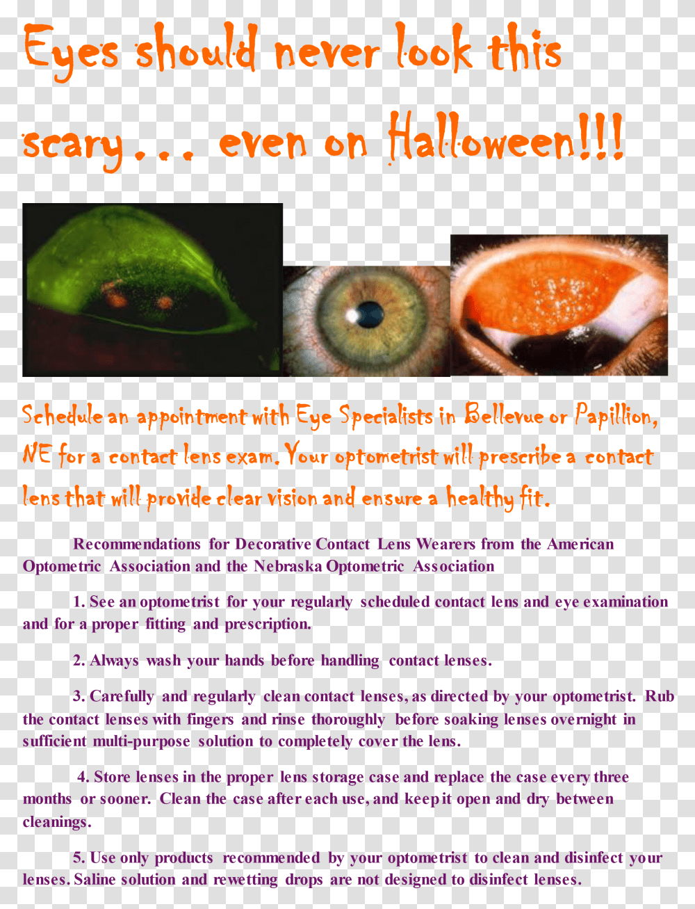Eyes Should Never Look This Scary Halloween, Plant, Flyer, Poster, Paper Transparent Png
