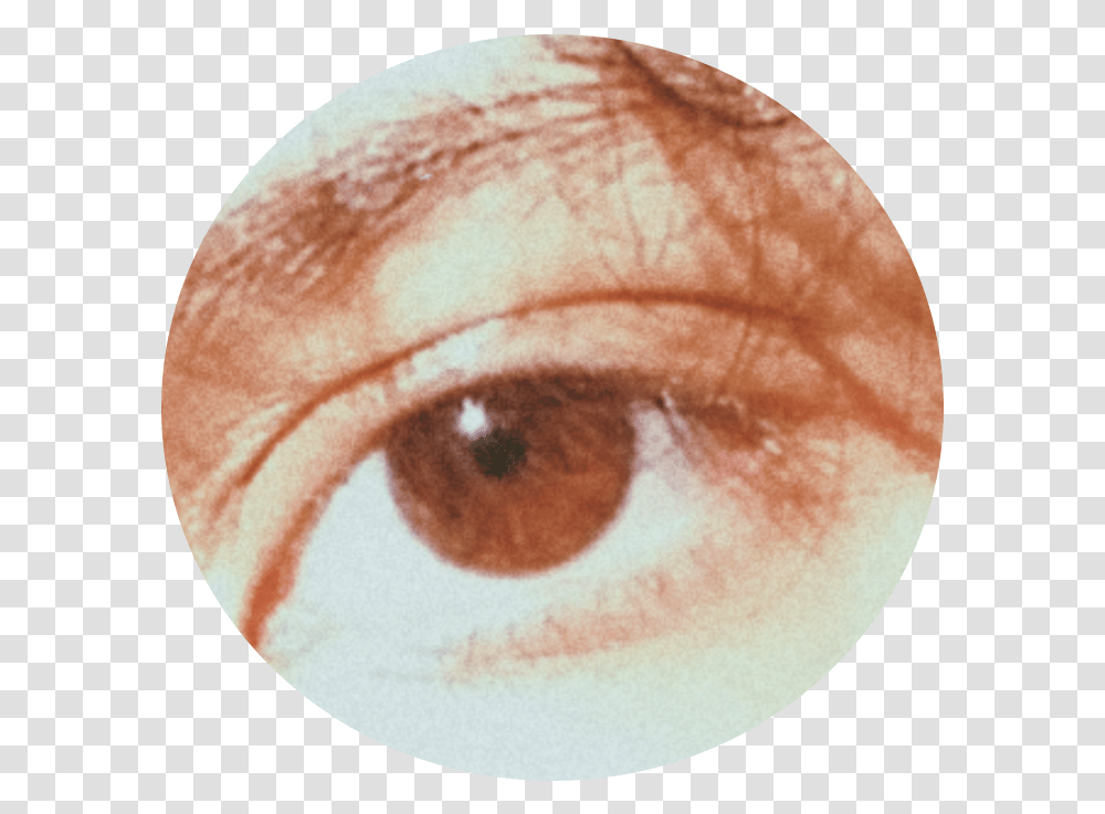 Eyes Tumblr Brown, Skin, Contact Lens, Bread, Food Transparent Png