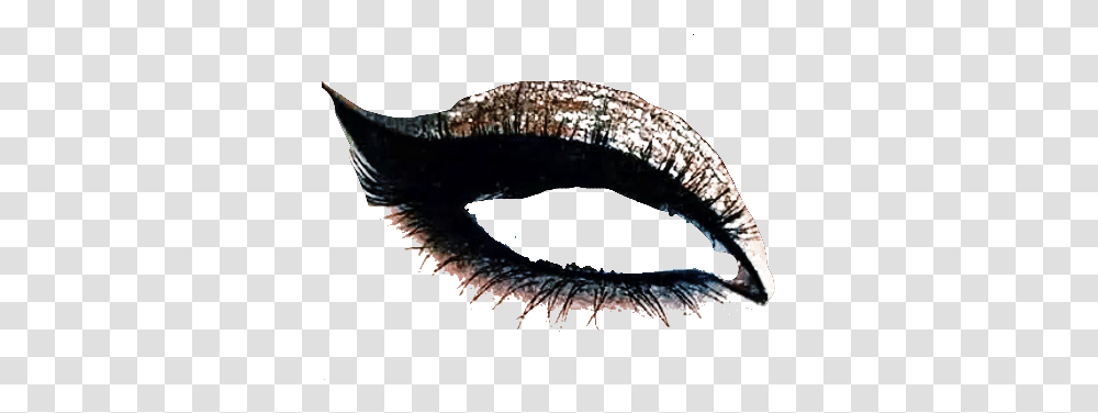 Eyeshadow Makeup Eyemakeup Makeover Eyes Mascara Mascara, Animal, Sea Life, Invertebrate, Diamond Transparent Png