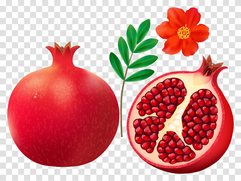 F Cdba Orig Pomegranate Clipart Transparent Png