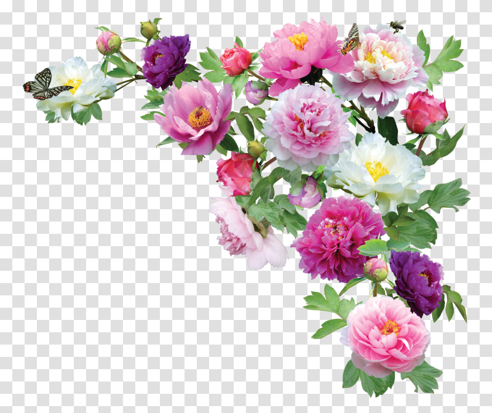 F Esquina De Flores Tumblr, Plant, Flower, Blossom, Peony Transparent Png