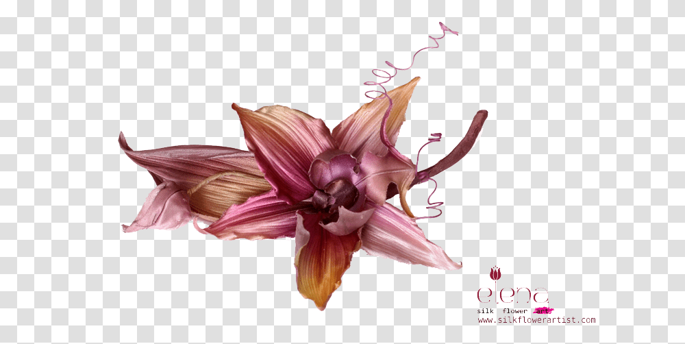 Fabric Flower Photo, Plant, Dahlia, Petal, Anther Transparent Png