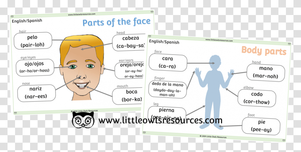 Face And Body Parts Cover Face Parts In Malay, Person, Human, Id Cards Transparent Png