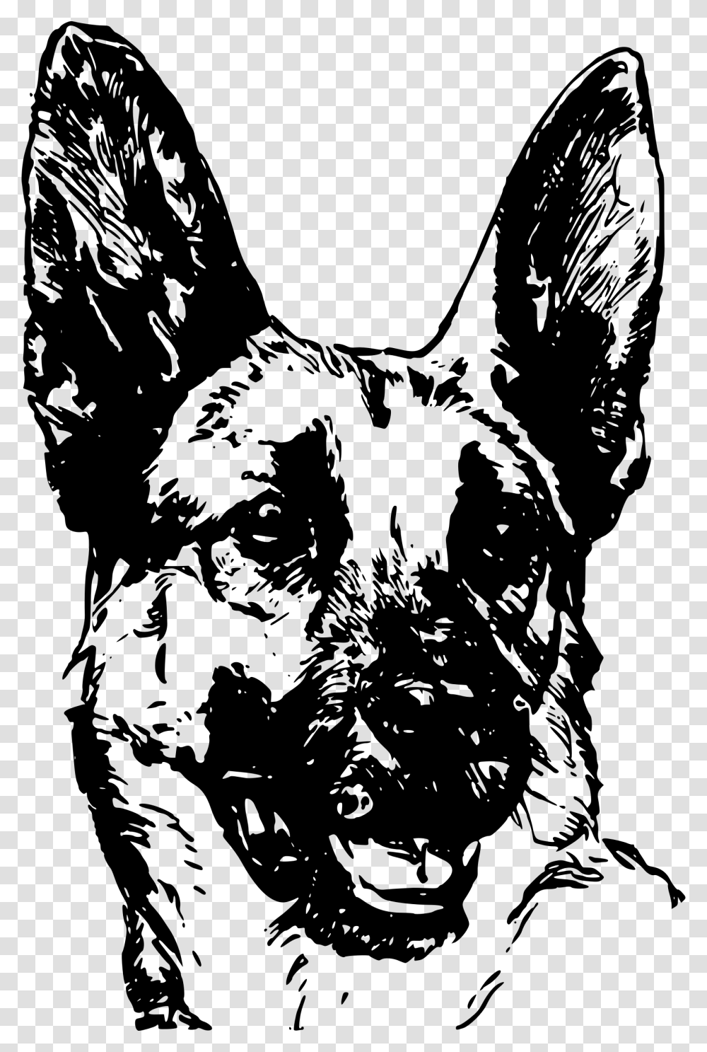 Face Drawing At Getdrawings German Shepherd Face Vector, Gray, World Of Warcraft Transparent Png