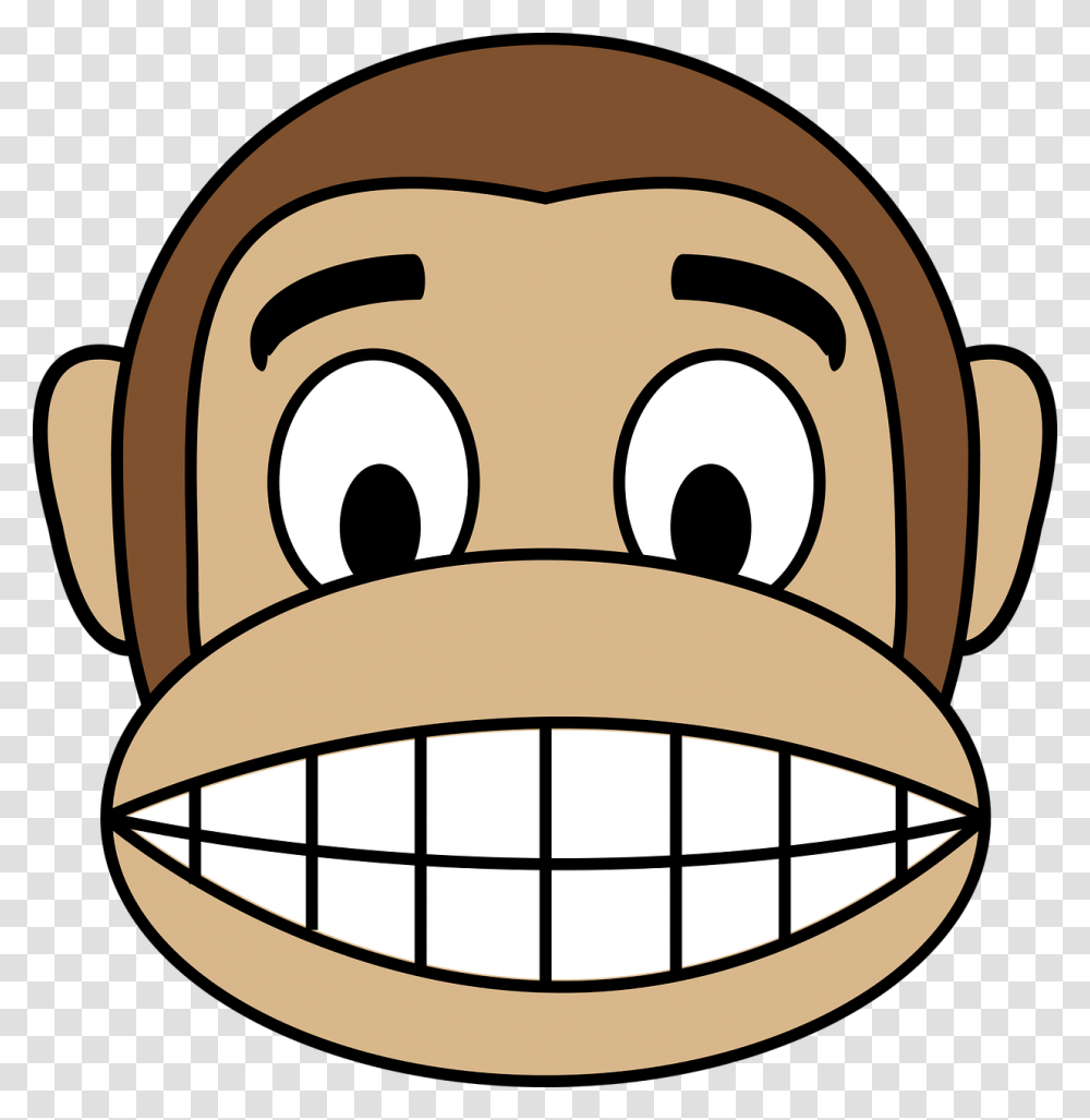Gambar monyet