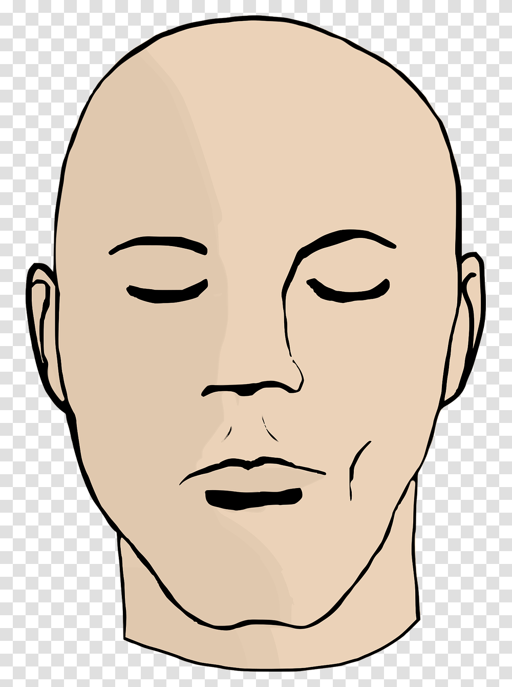 Face, Head, Skin, Stencil, Portrait Transparent Png