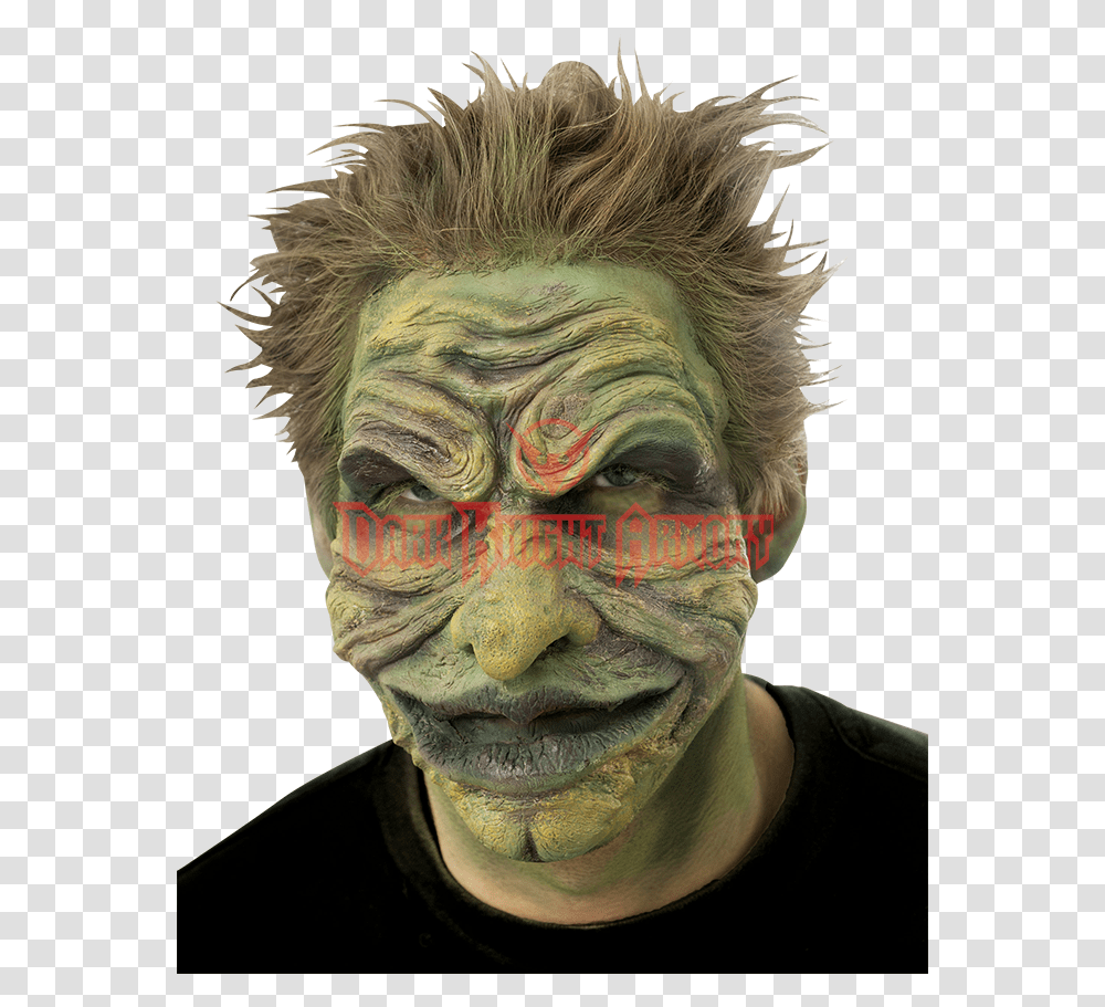 Face Mask Make Up Disguise Internet Troll Troll Foam Mask, Head, Person, Human, Alien Transparent Png