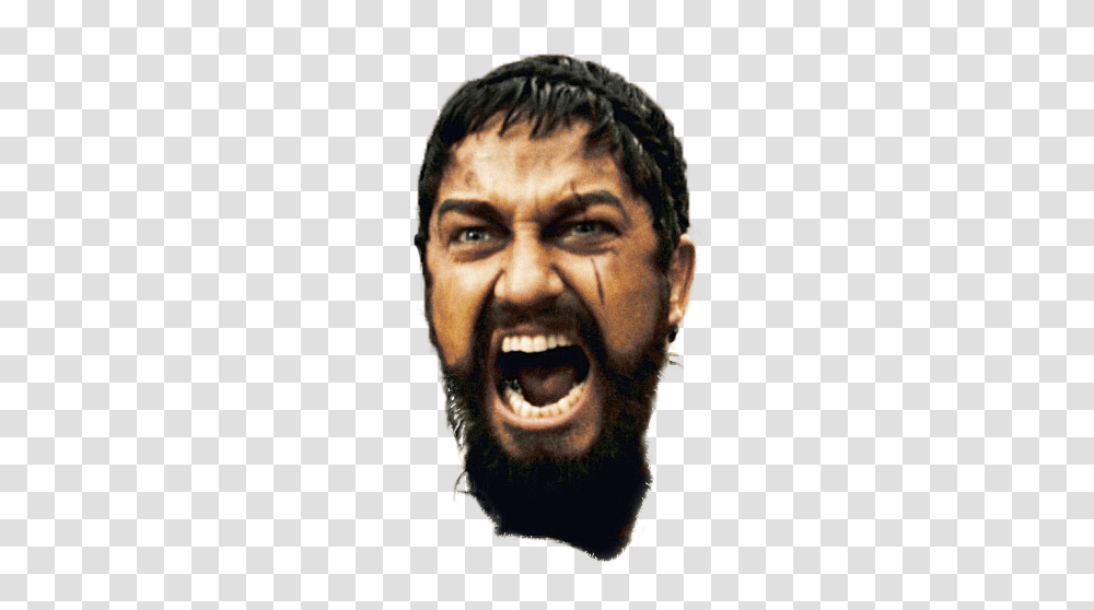 Face, Person, Human, Beard, Head Transparent Png