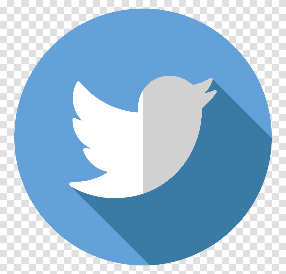 Facebook Flat Logo Twitter Icon, Animal, Bird, Shark Transparent Png