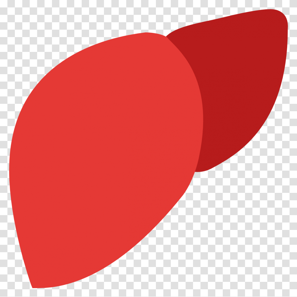 Facebook Icon Download Liver With No Background, Balloon, Petal, Flower, Plant Transparent Png