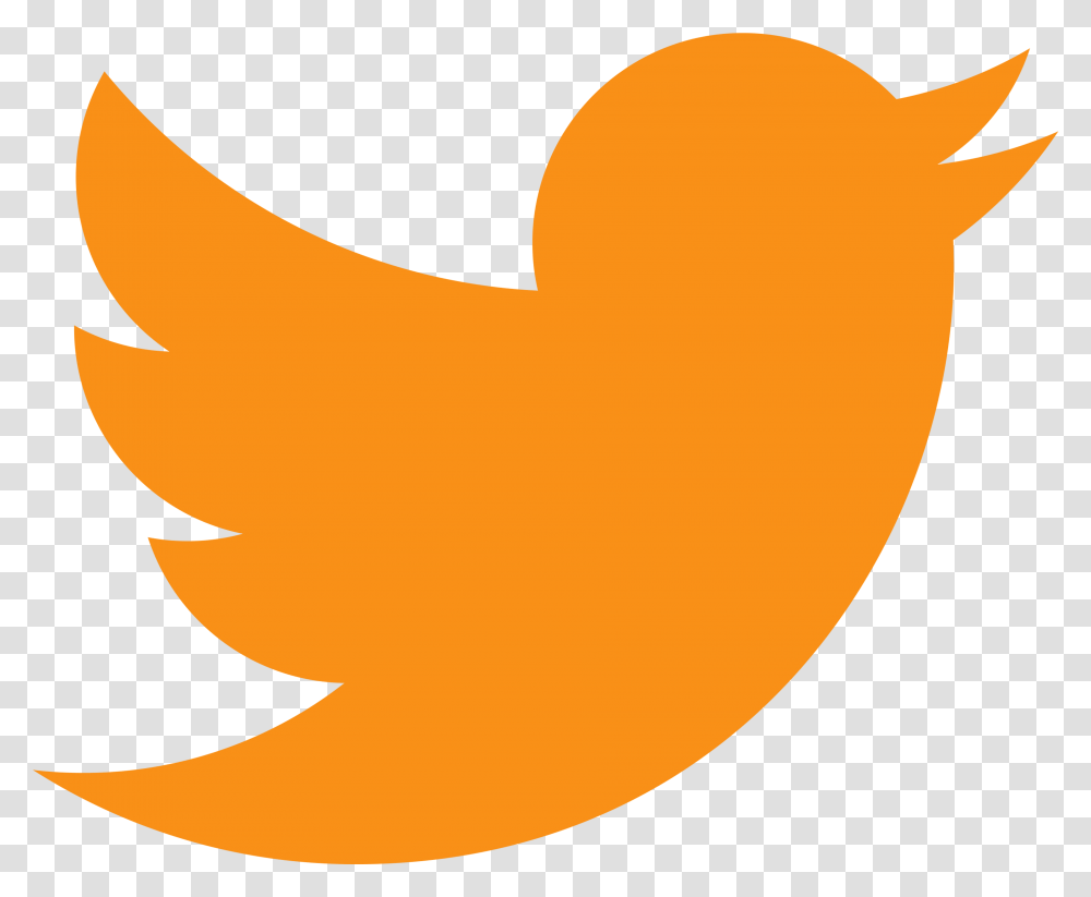 Facebook Orange Twitter Logo Twitter 2019 Logo, Shark, Sea Life, Fish, Animal Transparent Png