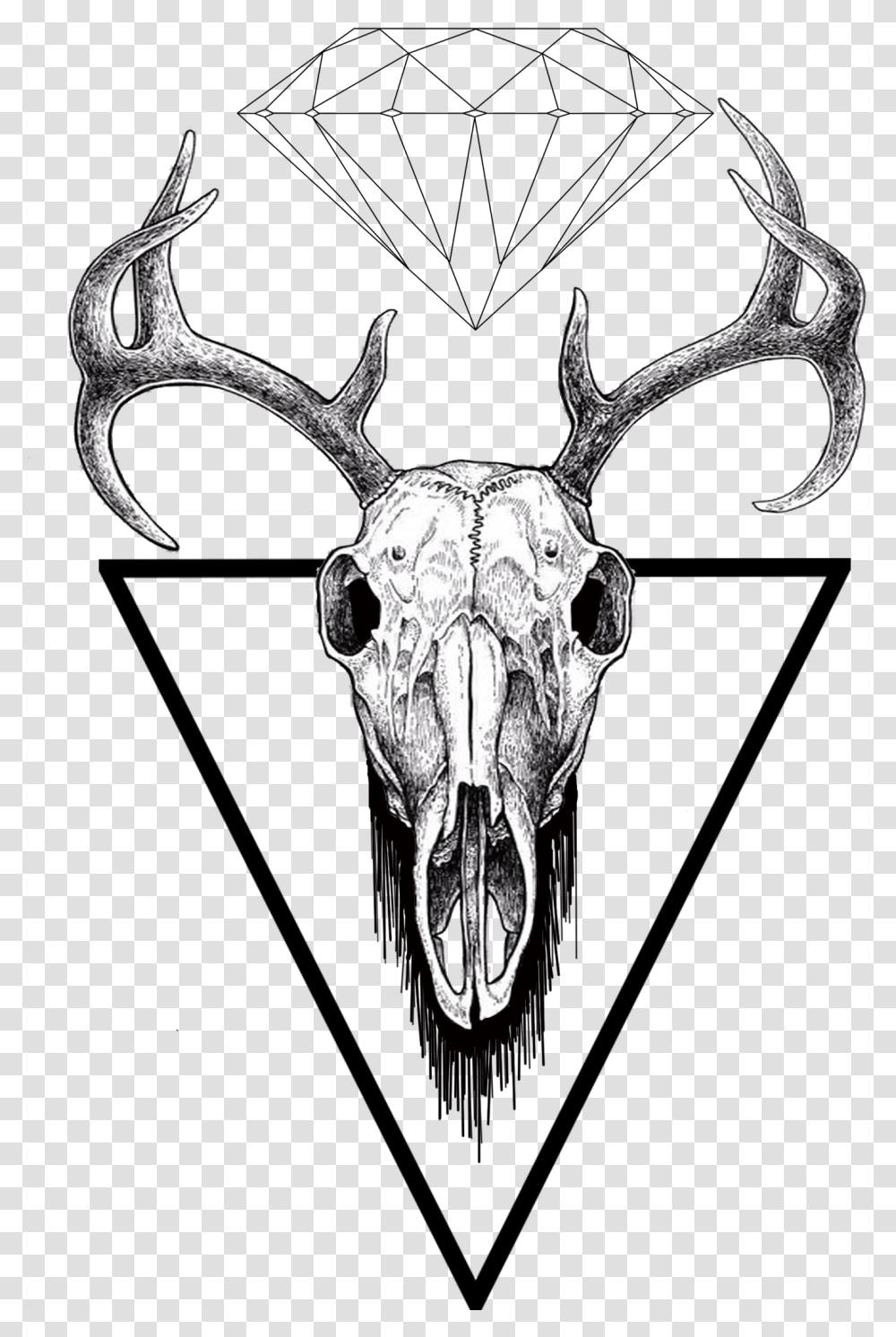Facebook Skull Drawing Stag, Antler, Antelope, Wildlife, Mammal Transparent Png