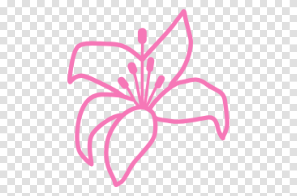 Facebook Twitter Instagram Youtube Lily Flower Pink Lily Flower Icon, Plant, Blossom, Pollen, Anther Transparent Png