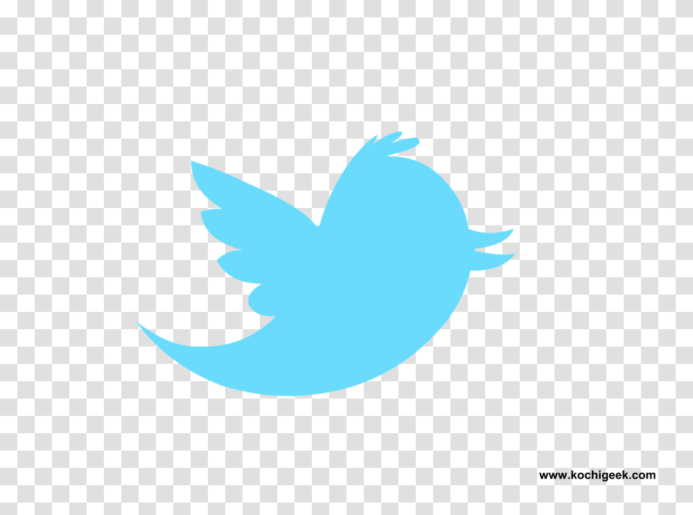 Facebook Twitter Logo Twitter Logo For Stream, Shark, Sea Life, Fish, Animal Transparent Png