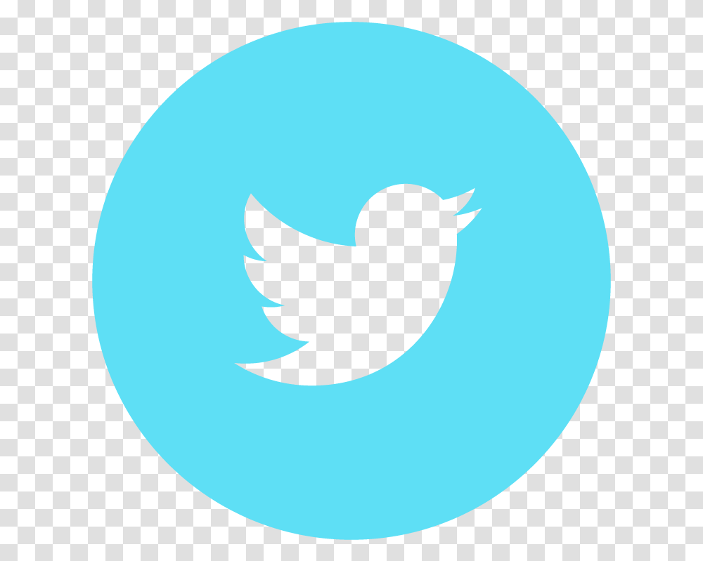 Facebook Twitter Snapchat Instagram Twitter Logo Icon Twitter Logo Blue, Symbol, Trademark, Animal, Bird Transparent Png