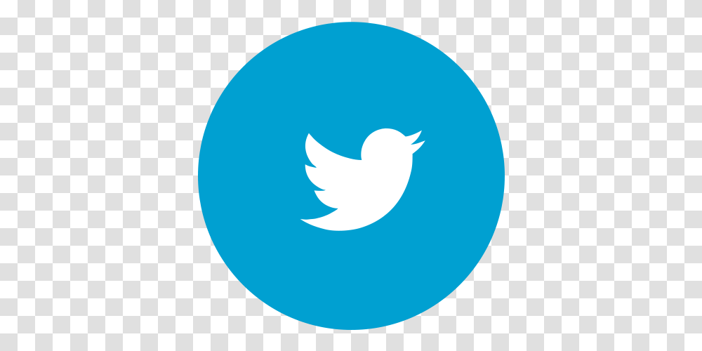 Facebook Twitter Telegram Logo 438x439 Telegram Logo, Animal, Symbol, Trademark, Bird Transparent Png
