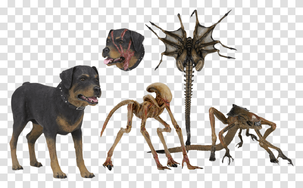 Facehugger Neca Alien 3 Creature Pack, Dog, Pet, Canine, Animal Transparent Png