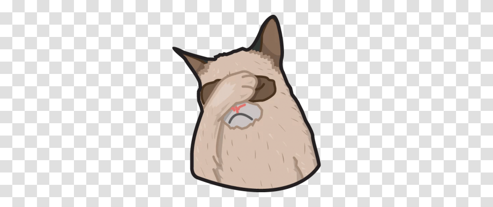 Facepalm, Animal, Mammal, Pet, Cat Transparent Png