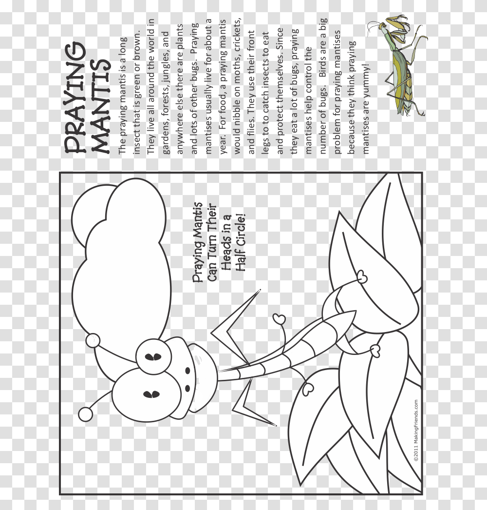 Fact Sheet About Praying Mantis For Kids, Plot, Animal, Diagram Transparent Png