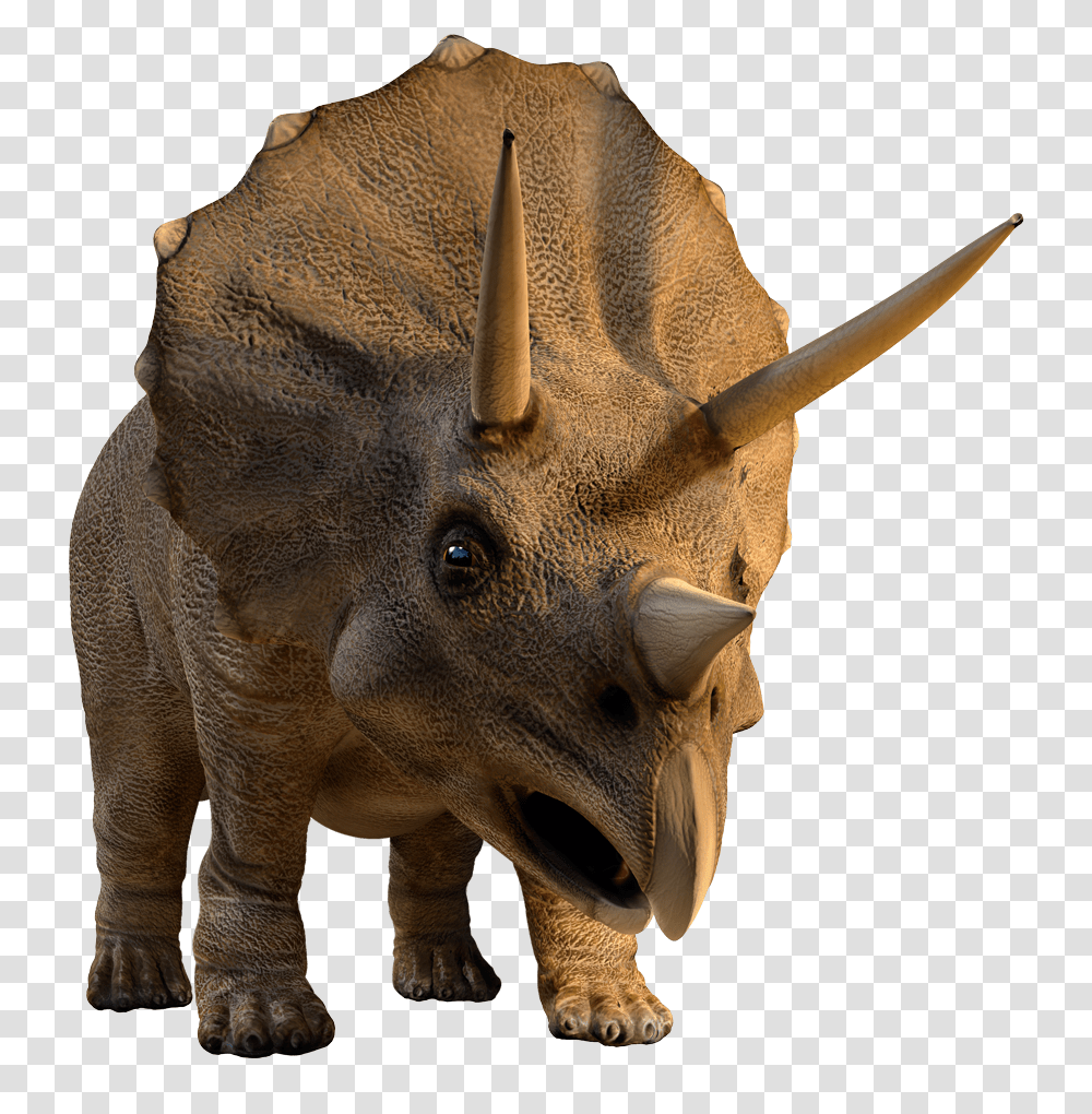Facts About Triceratops Triceratops Dinosaurus, Reptile, Animal, Elephant, Wildlife Transparent Png