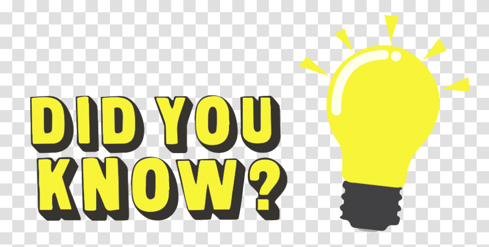 Facts Of The Day, Light, Lightbulb Transparent Png