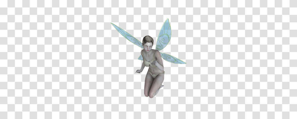 Fae Person, Human, Figurine Transparent Png