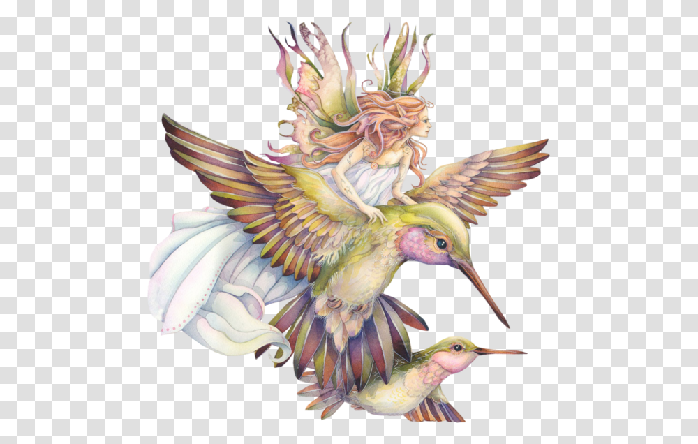 Faerie Drawing Hummingbird Spirit Of The Animals Oracle By Jody Bergsma, Chicken, Poultry, Fowl Transparent Png