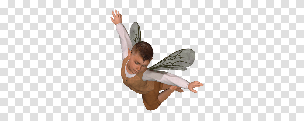 Fairy Person, Human, Leisure Activities, Acrobatic Transparent Png