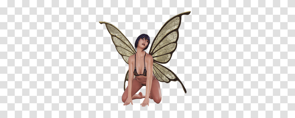 Fairy Person, Figurine, Outdoors Transparent Png