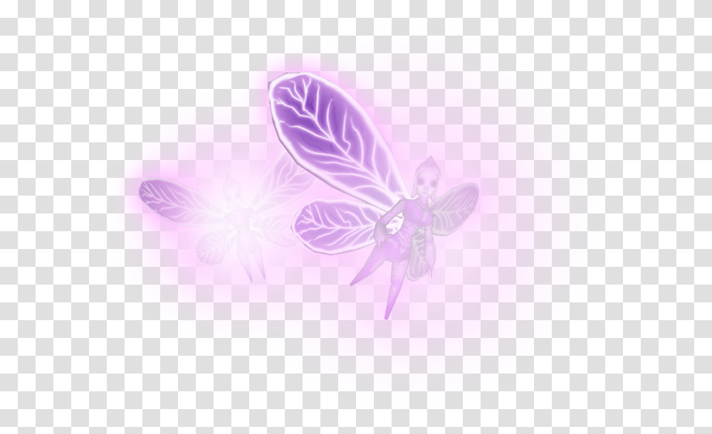 Fairy, Animal, Insect, Invertebrate, Dragonfly Transparent Png