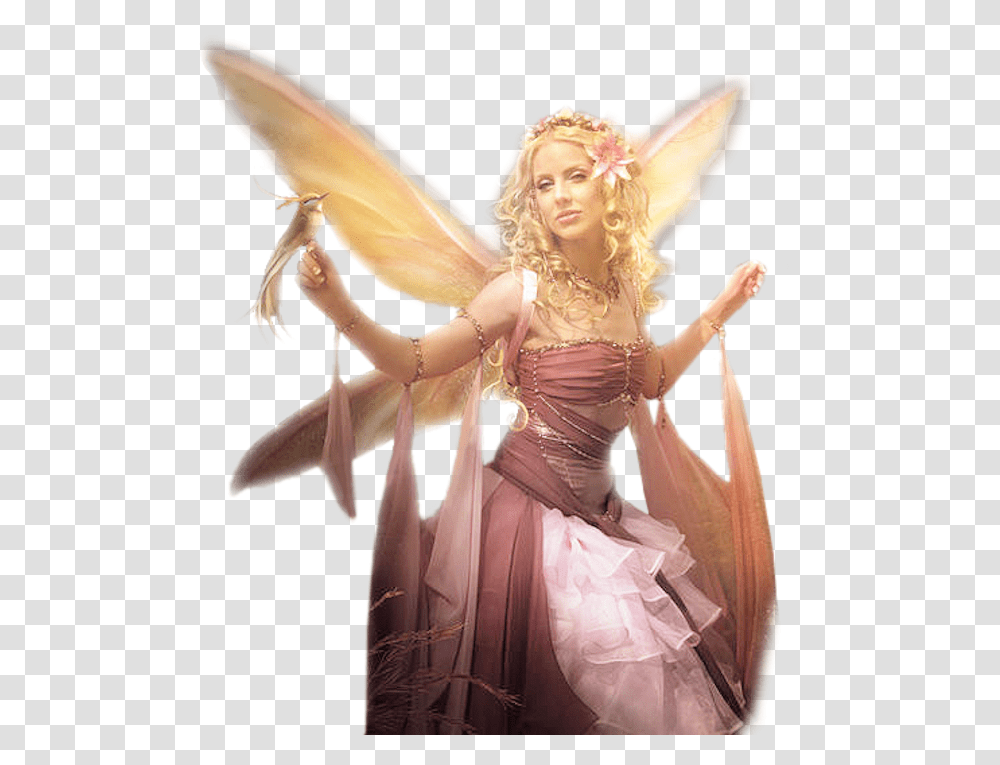 Fairy, Person, Human, Leisure Activities Transparent Png
