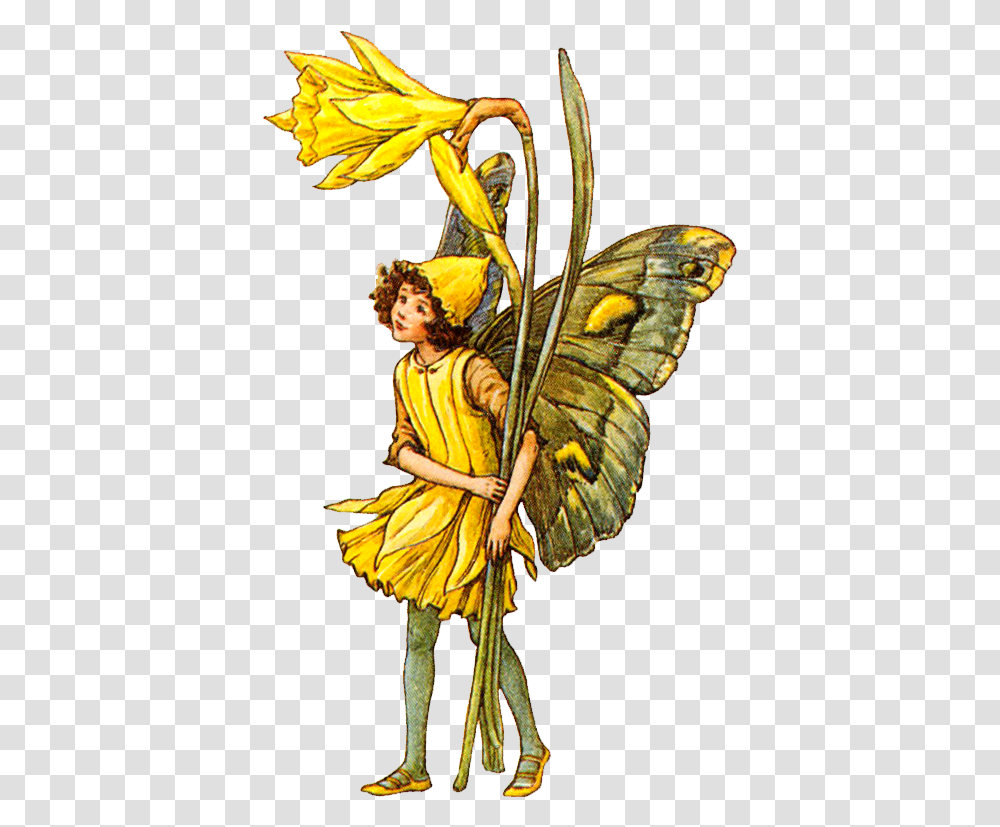 Fairy Clipart Flower Cicely Mary Barker Flower Fairies, Person, Figurine, Leisure Activities, Angel Transparent Png