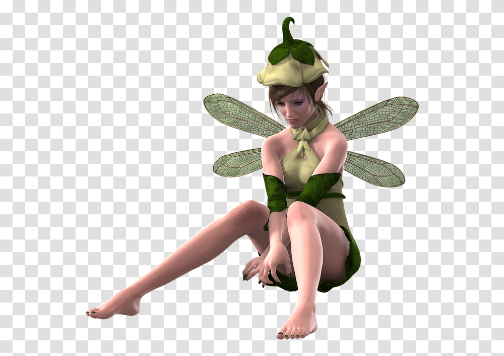 Fairy, Person, Costume, Girl Transparent Png