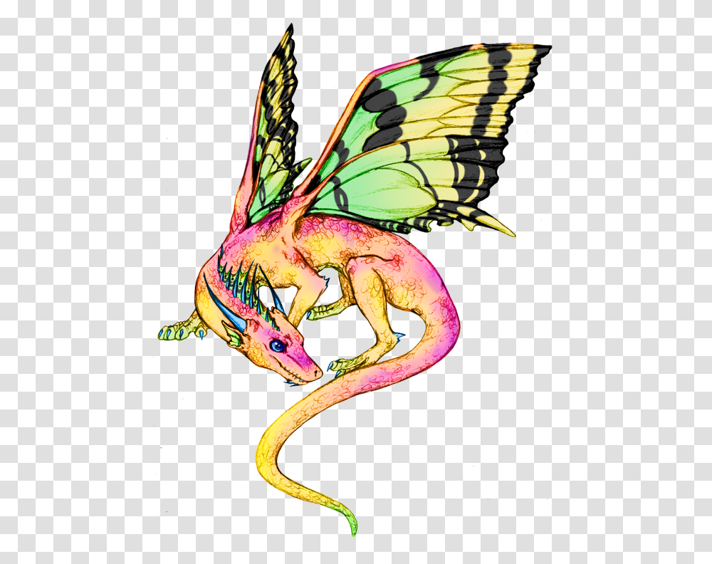 Fairy Dragon Fairy Dragon Dandd Aanthalincea Fairy Dragon, Animal, Insect, Invertebrate Transparent Png