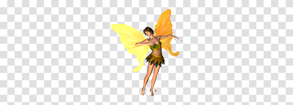 Fairy, Fantasy, Person, Human Transparent Png