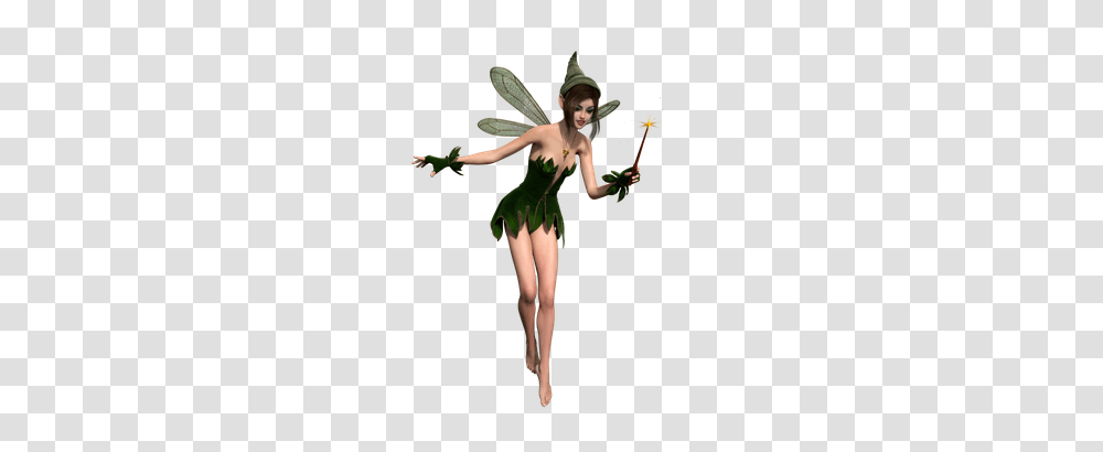 Fairy, Fantasy, Person, Human, Costume Transparent Png