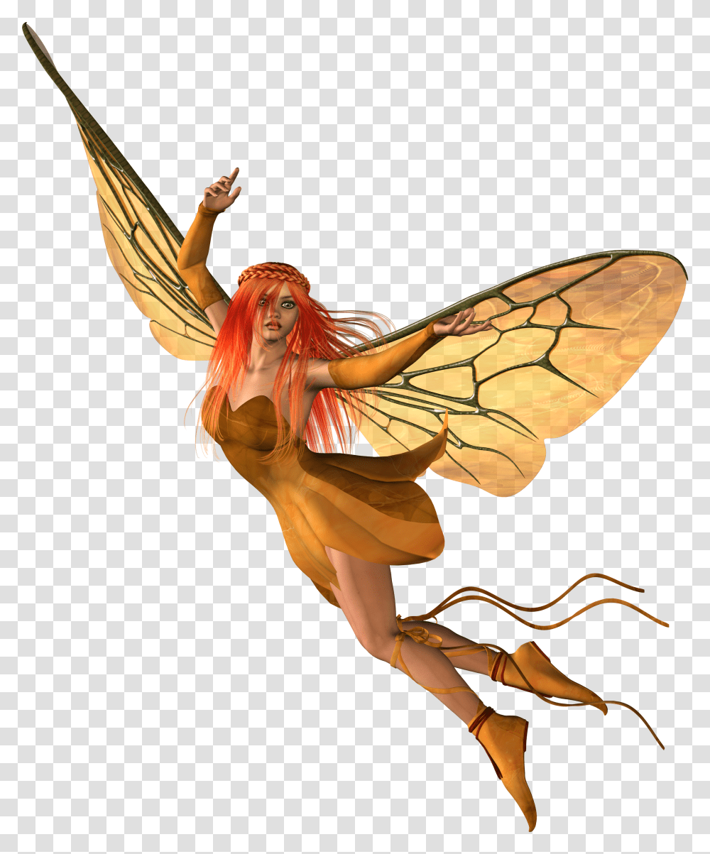 Fairy, Fantasy, Wasp, Bee, Insect Transparent Png